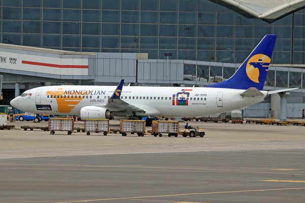 Comment choisir un lieu de camping pour observer la migration des oiseaux?