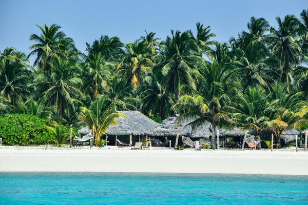 Comment organiser une randonnée à travers les forêts tropicales de Bornéo?