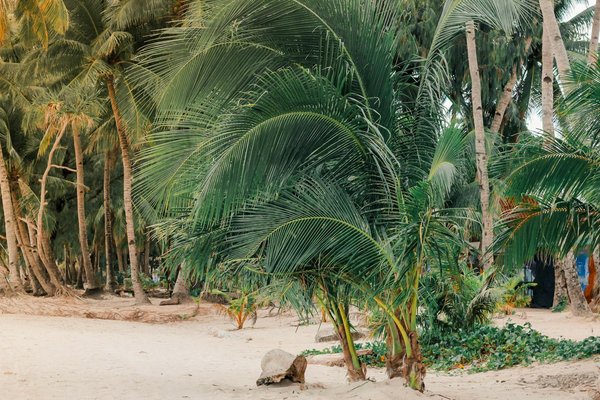 Quels critères pour choisir une maison de vacances en bord de mer avec des cours de surf?